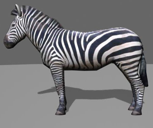 Low poly Savannah pack - 3d model Low-poly 3D model_55