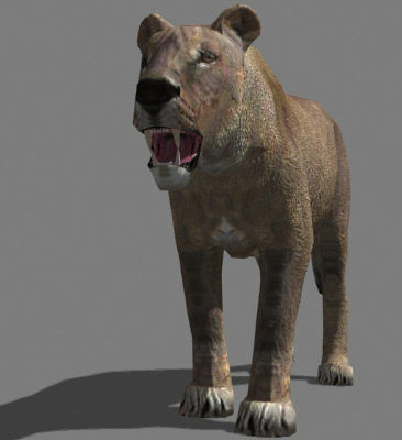 Low poly Savannah pack - 3d model Low-poly 3D model_37