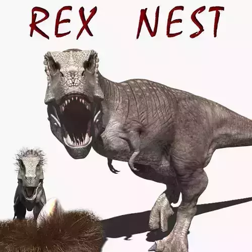 Rex nest - 3d model 3D model