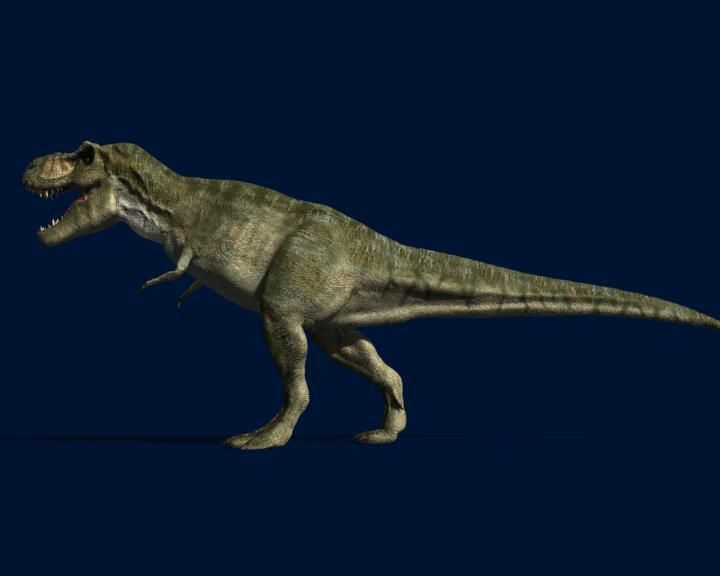 JP T Rex - 3d model a 3D model_7