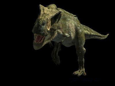 JP T Rex - 3d model a 3D model_16
