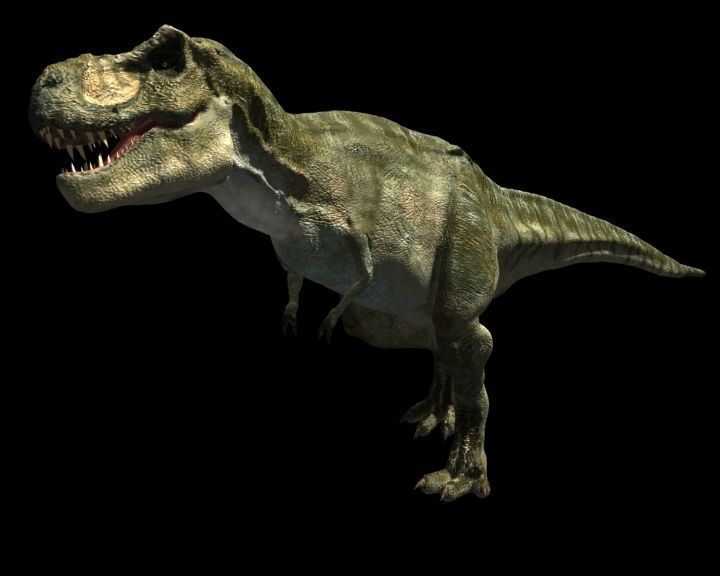 JP T Rex - 3d model a 3D model_24