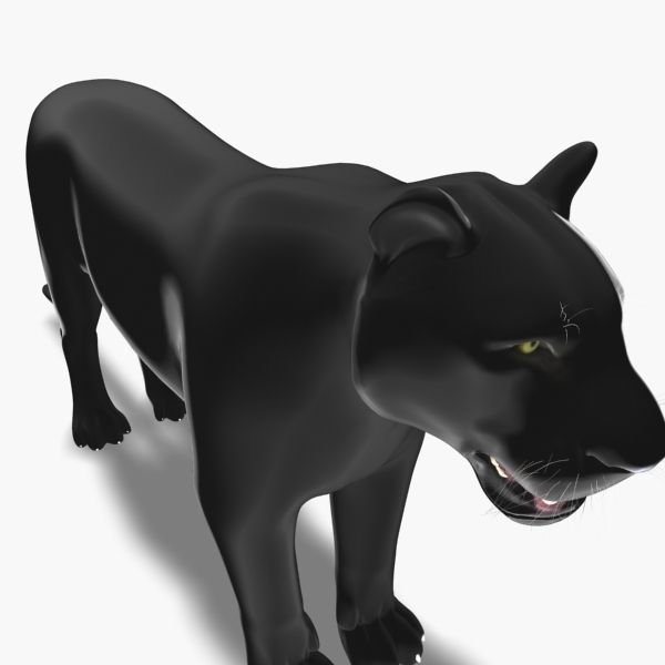 Feline Panther - 3d model 3D model_2