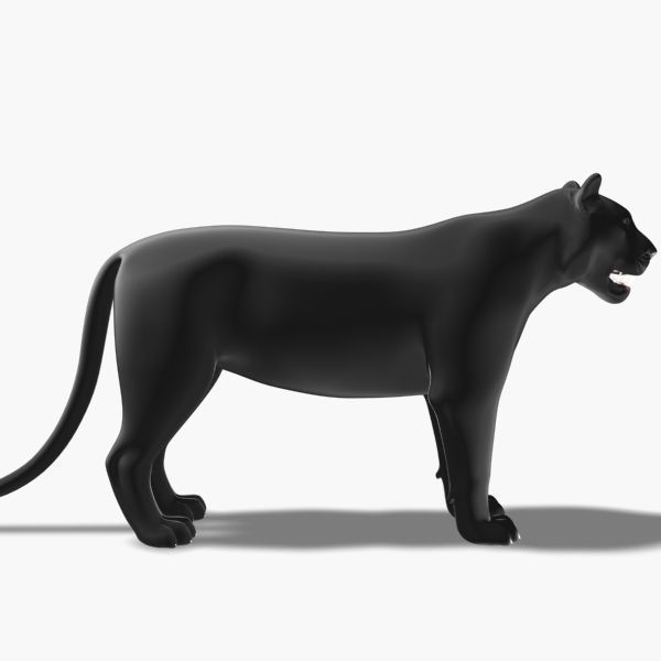 Feline Panther - 3d model 3D model_6