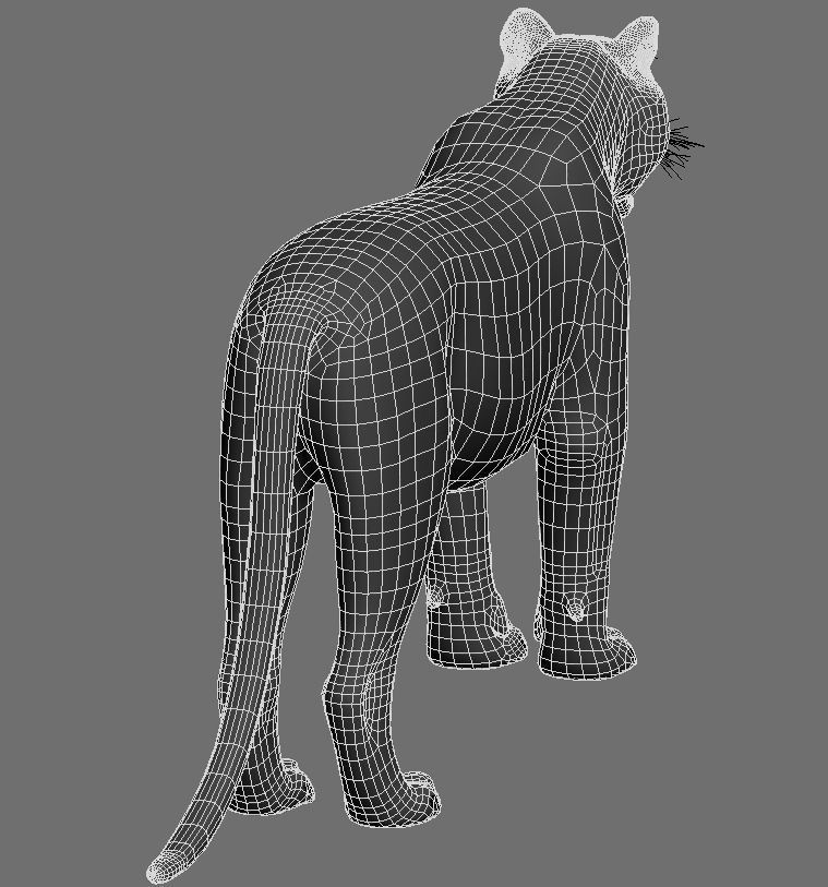 Feline Panther - 3d model 3D model_13