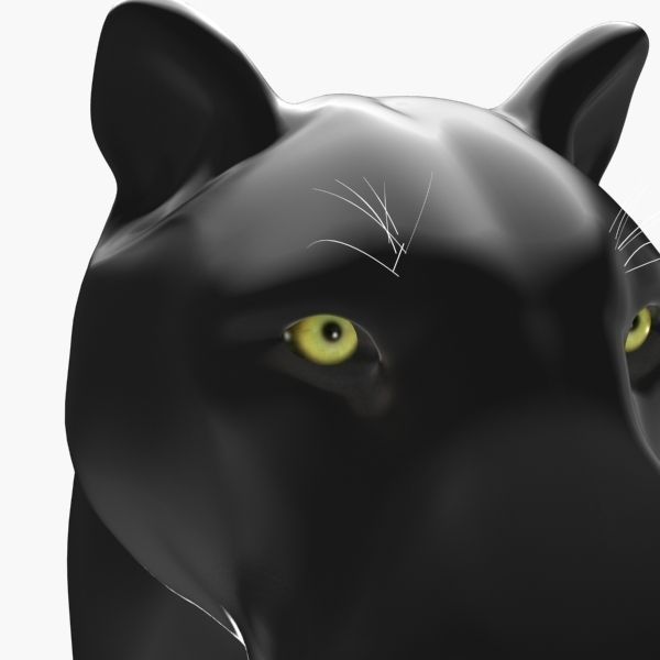 Feline Panther - 3d model 3D model_5