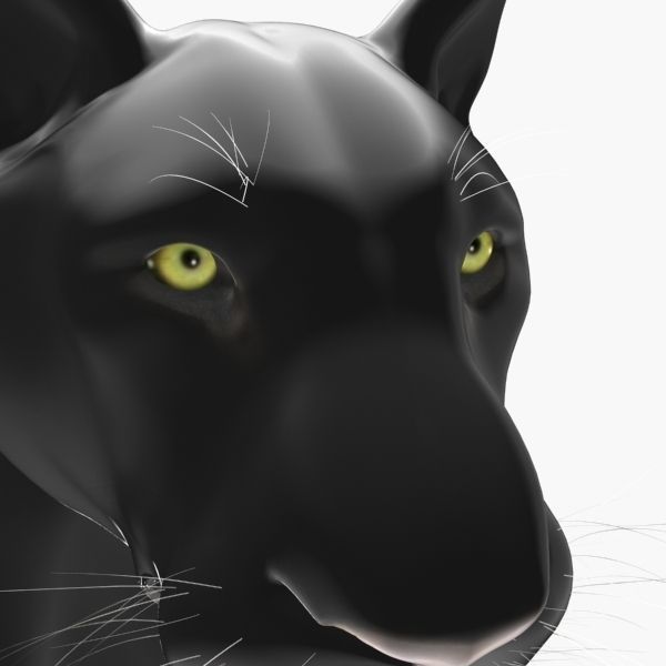 Feline Panther - 3d model 3D model_4