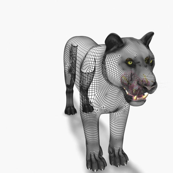 Feline Panther - 3d model 3D model_10
