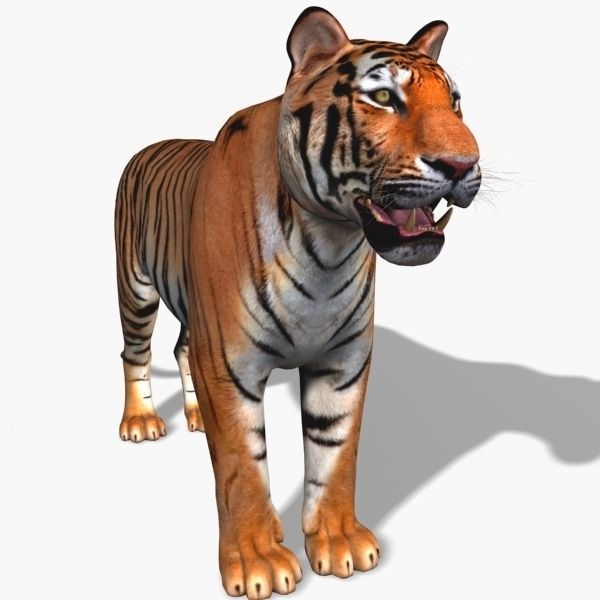 Awesome Tiger - 3d model 3D model_1