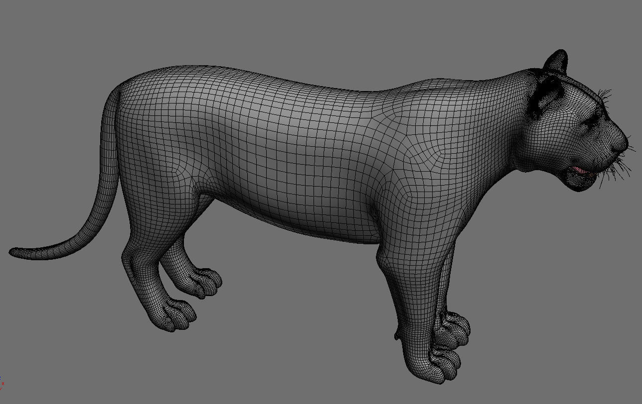 Awesome Tiger - 3d model 3D model_11