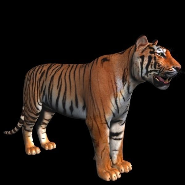 Awesome Tiger - 3d model 3D model_12