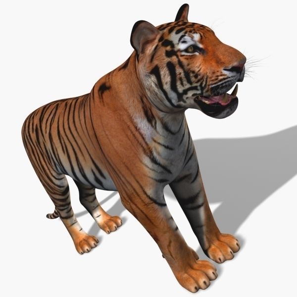 Awesome Tiger - 3d model 3D model_19