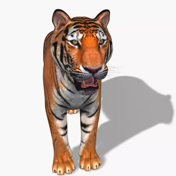 Awesome Tiger - 3d model 3D model_0