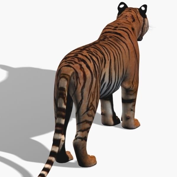 Awesome Tiger - 3d model 3D model_15