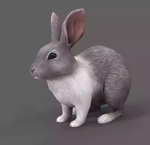 rabbit bunny Low-poly 3D model