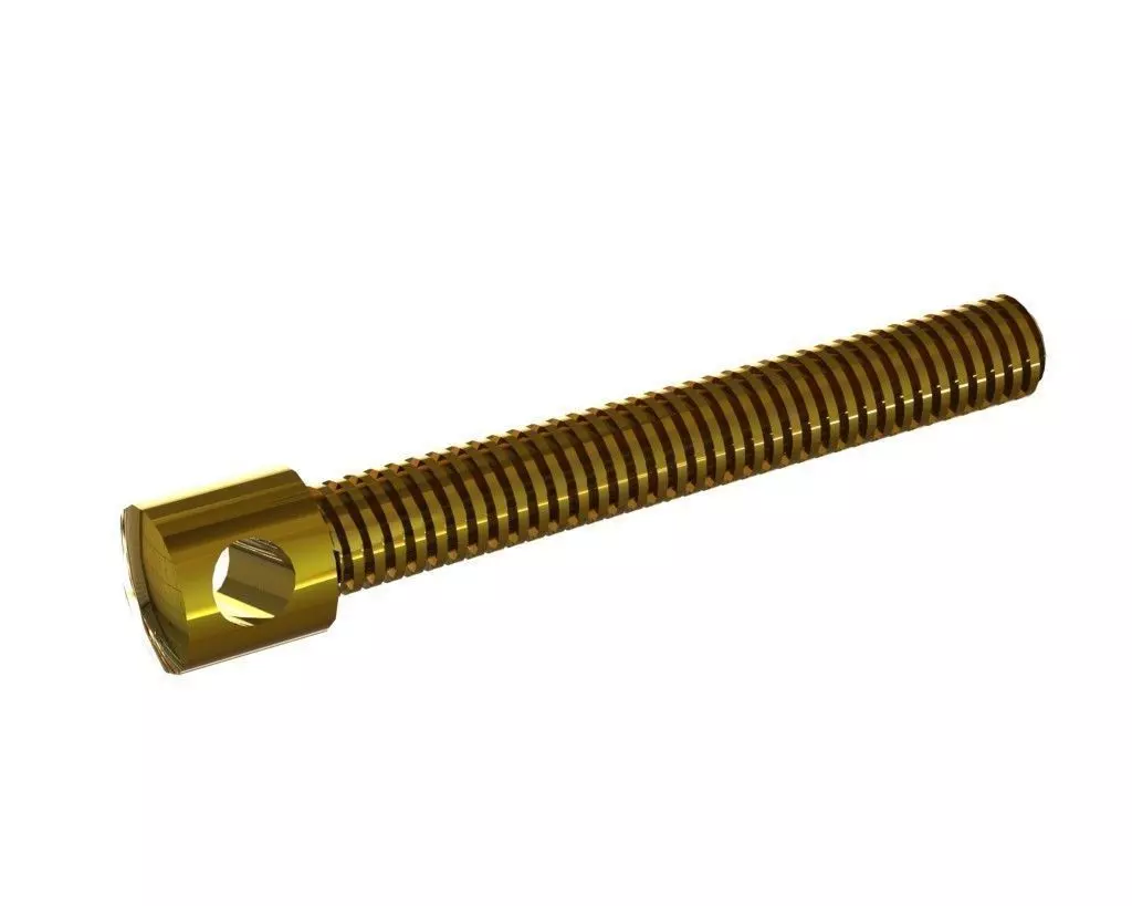 Screw Free 3D model