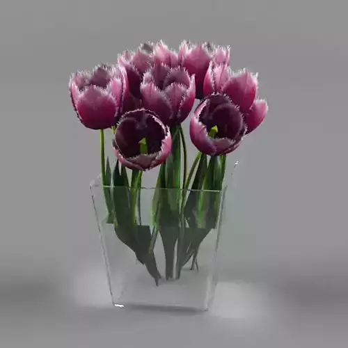 a bouquet of tulips