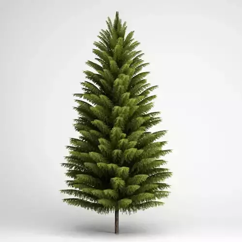 CGAxis Norway Spruce 21