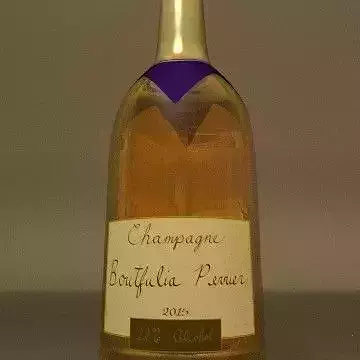Fully Functional Champagne Bottle