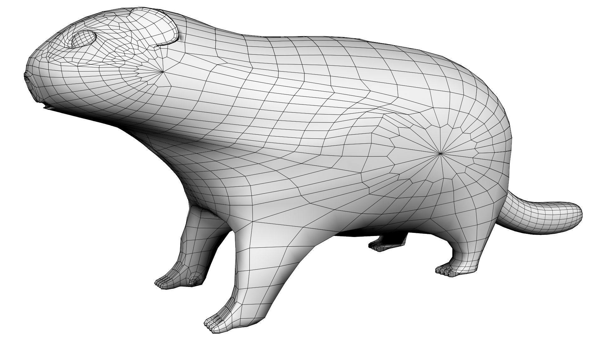 Groundhog Textured 3D model_5