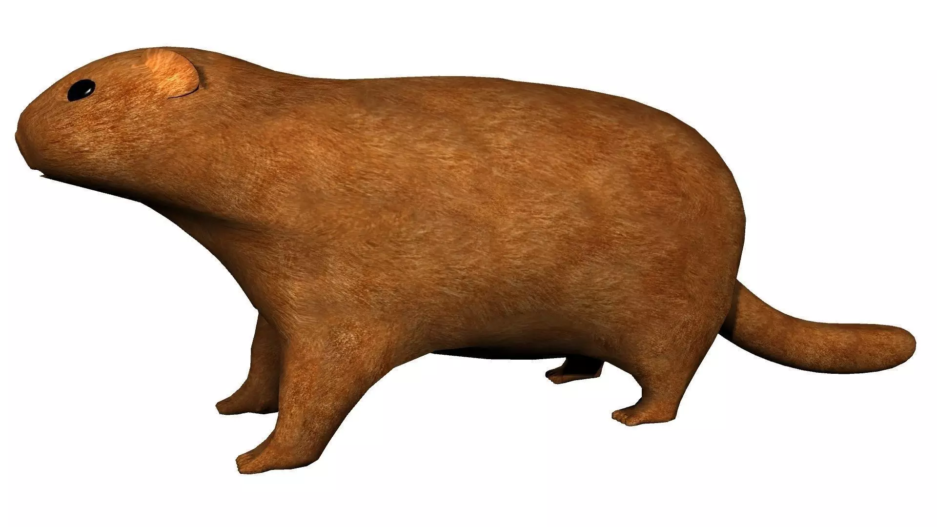 Groundhog Textured 3D model_0