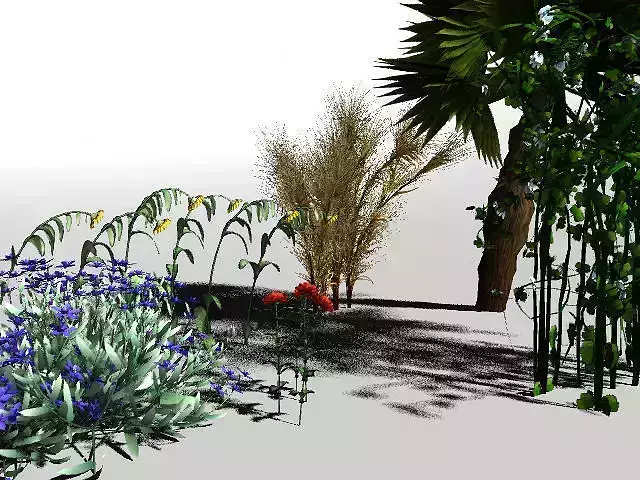 Nature Set plants and flowers