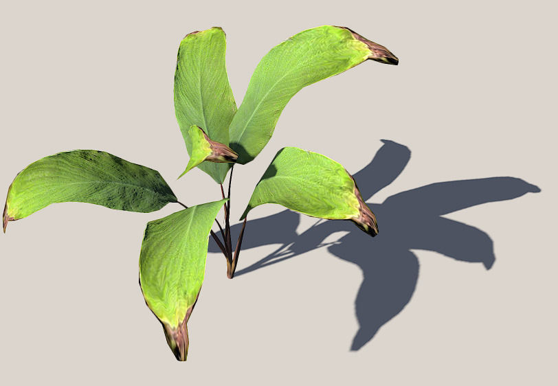 Palm leaves 3D model_3