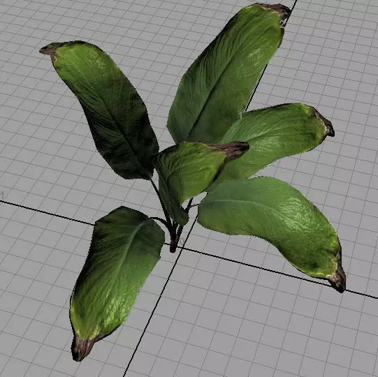 Palm leaves 3D model_0