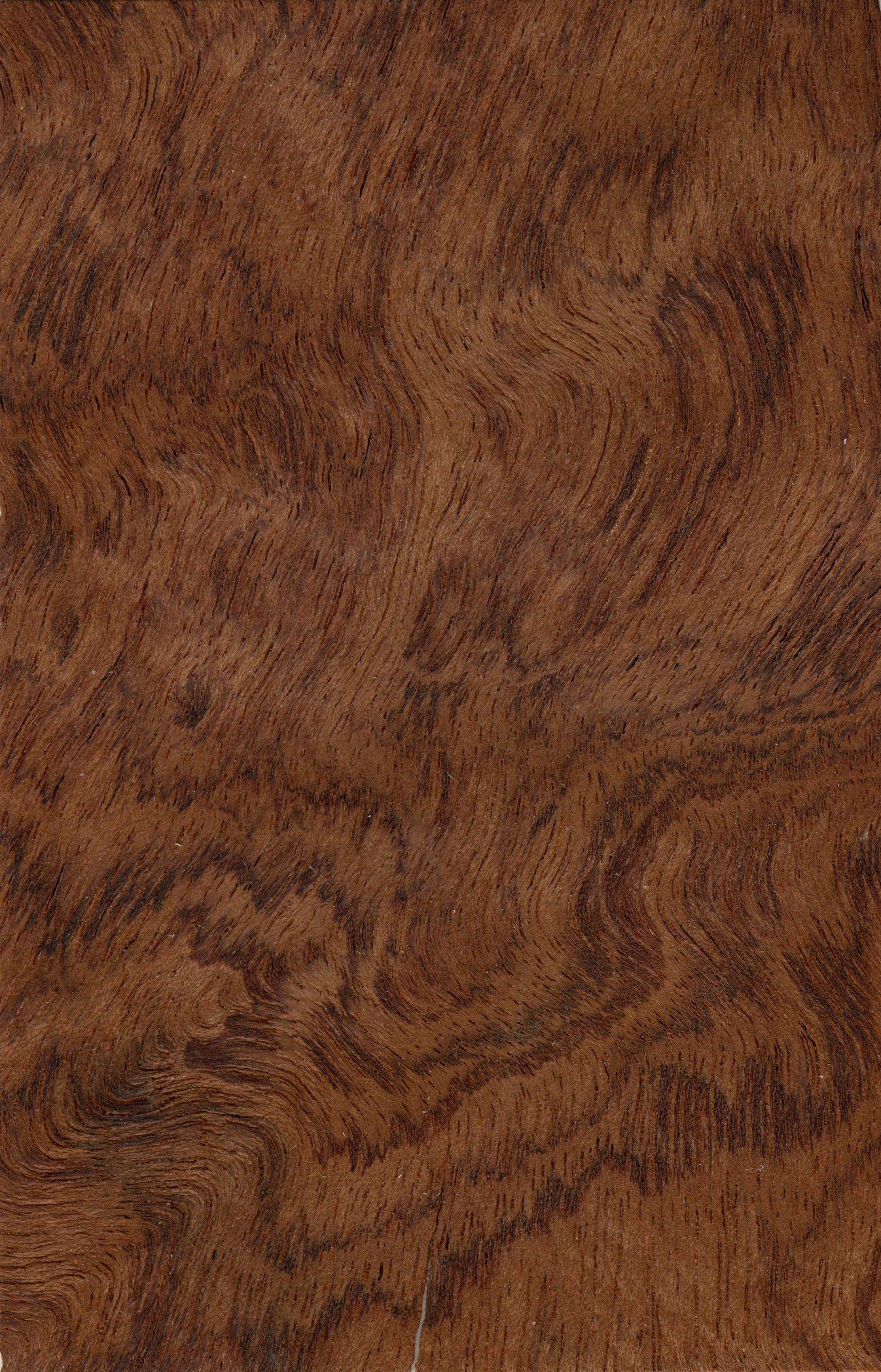 wooden chairs set Free 3D model_10