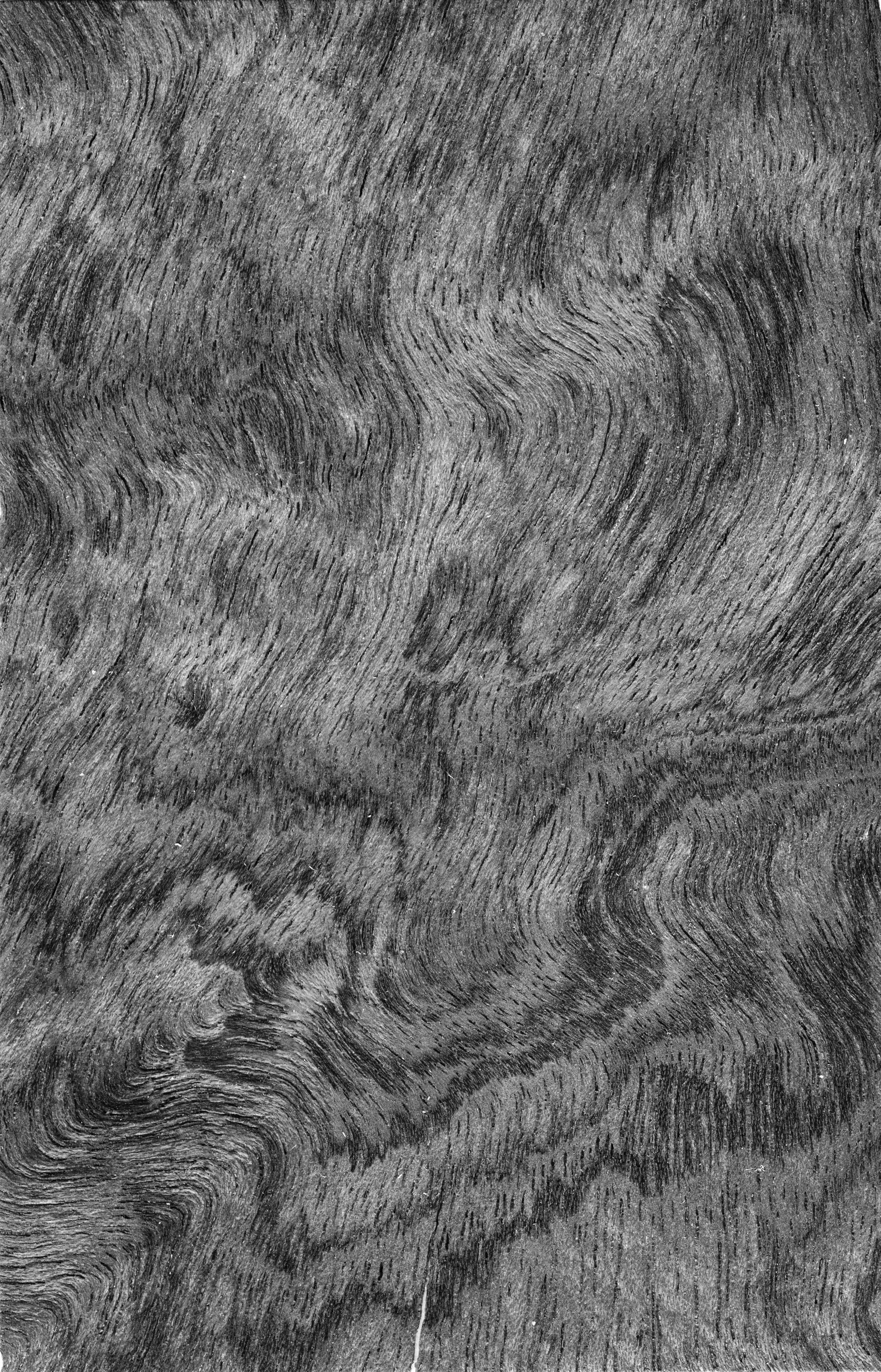 wooden chairs set Free 3D model_9