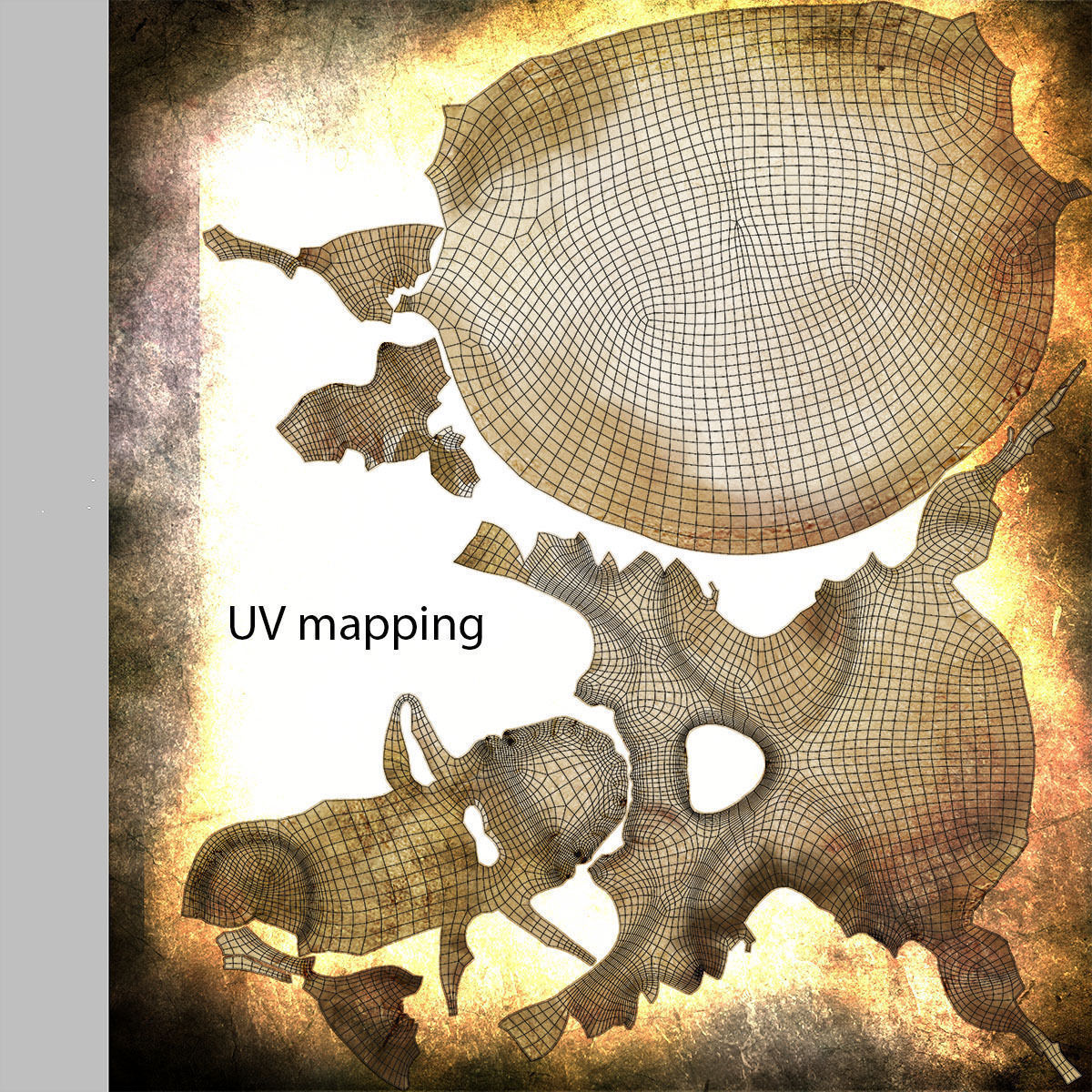 Realistic Skull human 3D model_14