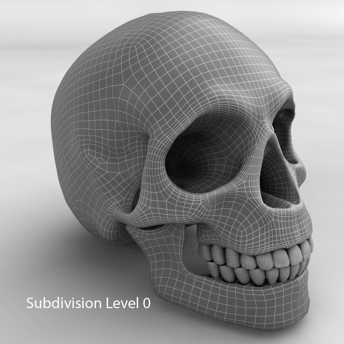 Realistic Skull human 3D model_10