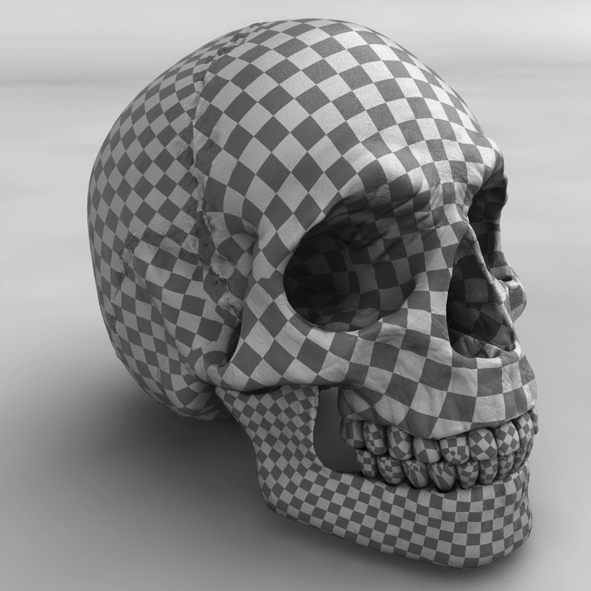 Realistic Skull human 3D model_13