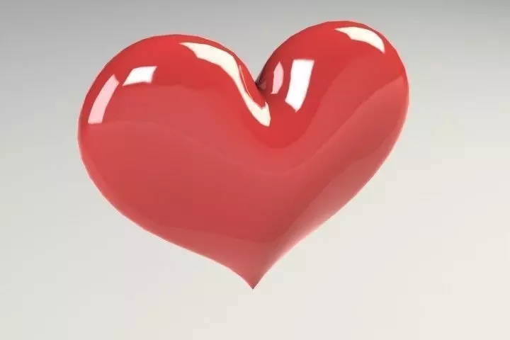 Heart Free 3D model_0