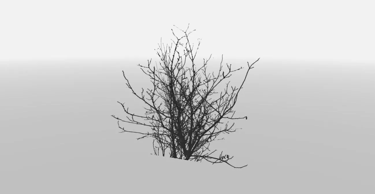 Bush model tree with no leaves in snow Free low-poly 3D model