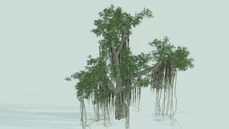Chinese Banyan 3D model_0