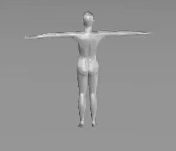 rigged female body 3D model