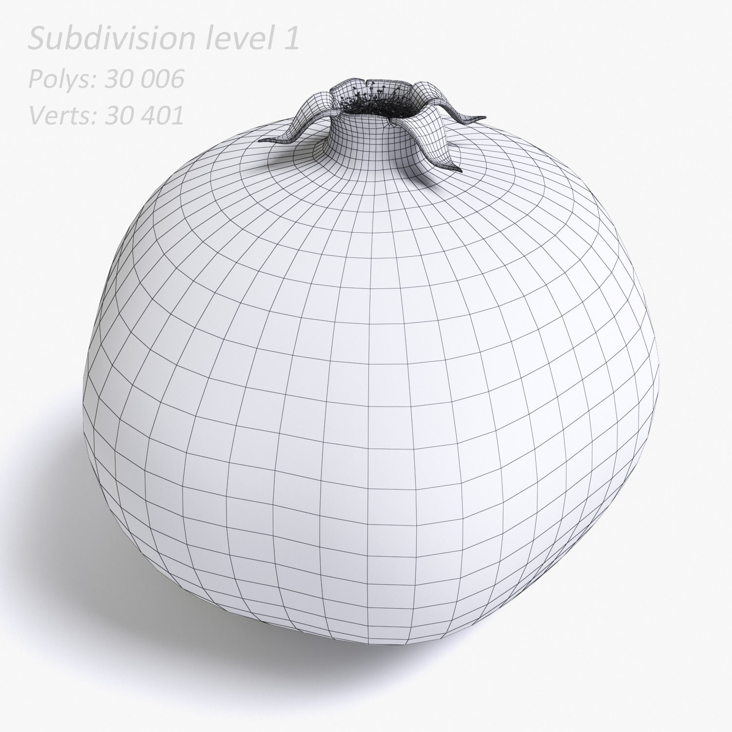 Pomegranate 3D model_4