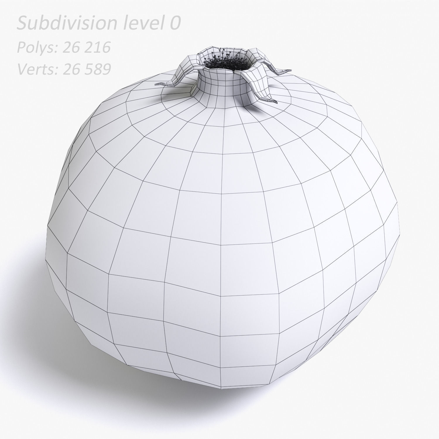 Pomegranate 3D model_5