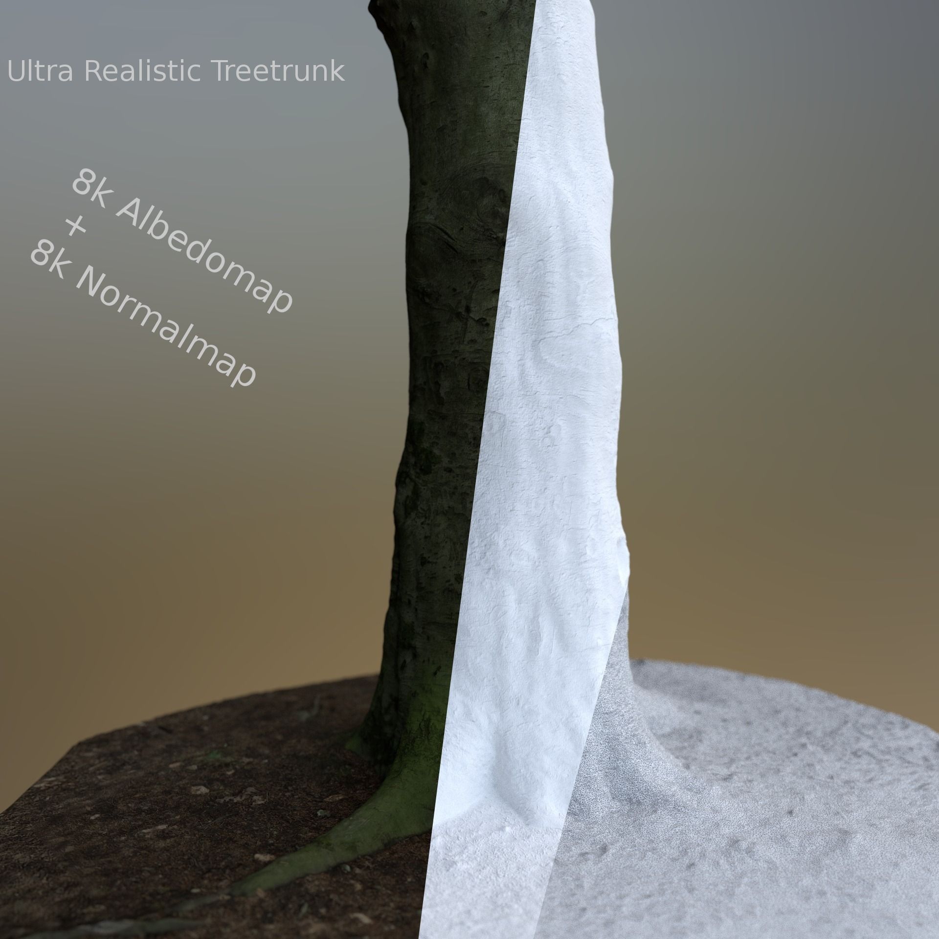 Ultra realistic Treetrunk 3D model_0