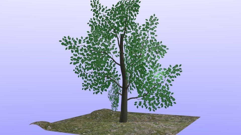 Simple Leaf Tree Free 3D model_0