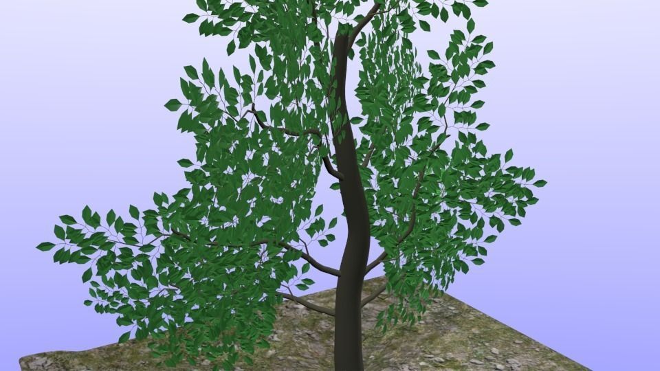 Simple Leaf Tree Free 3D model_1