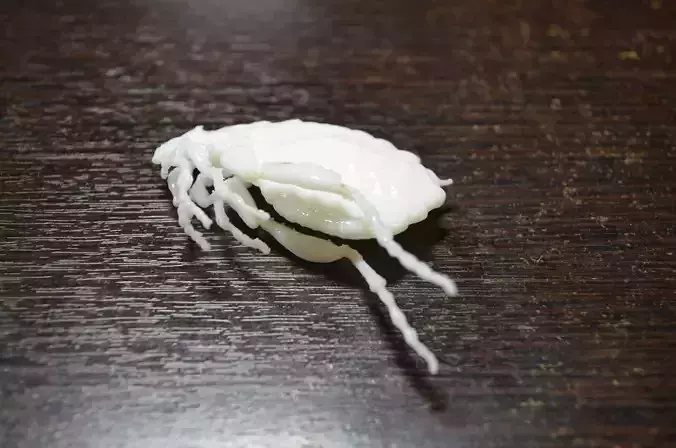 Insects crab on table