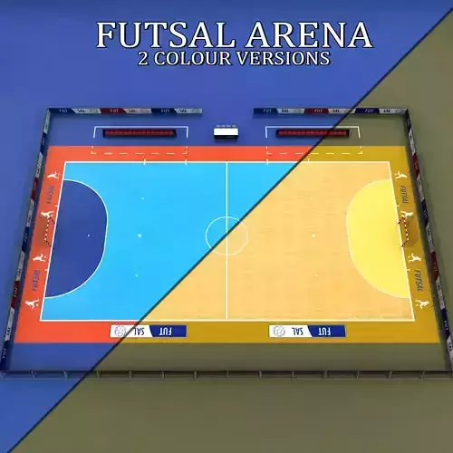 Futsal court arena