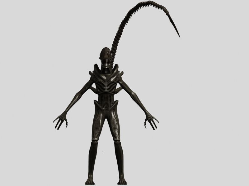 Xenomorph Aliens Mega Pack 3D model_14