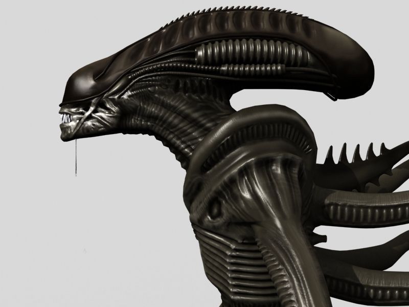 Xenomorph Aliens Mega Pack 3D model_12