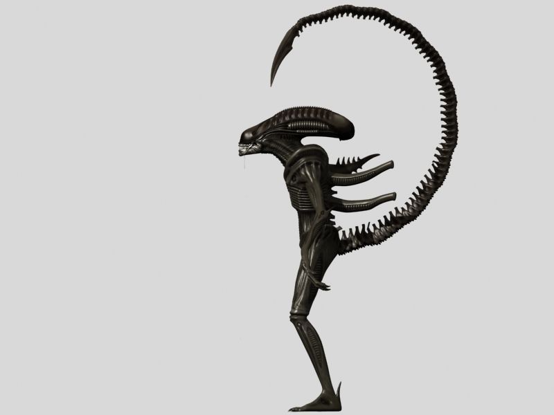 Xenomorph Aliens Mega Pack 3D model_11