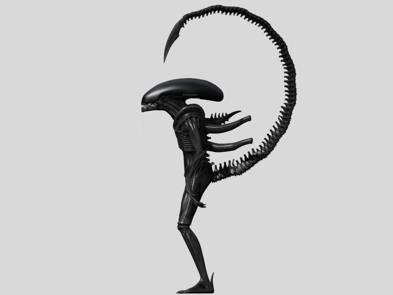 Xenomorph Aliens Mega Pack 3D model_4