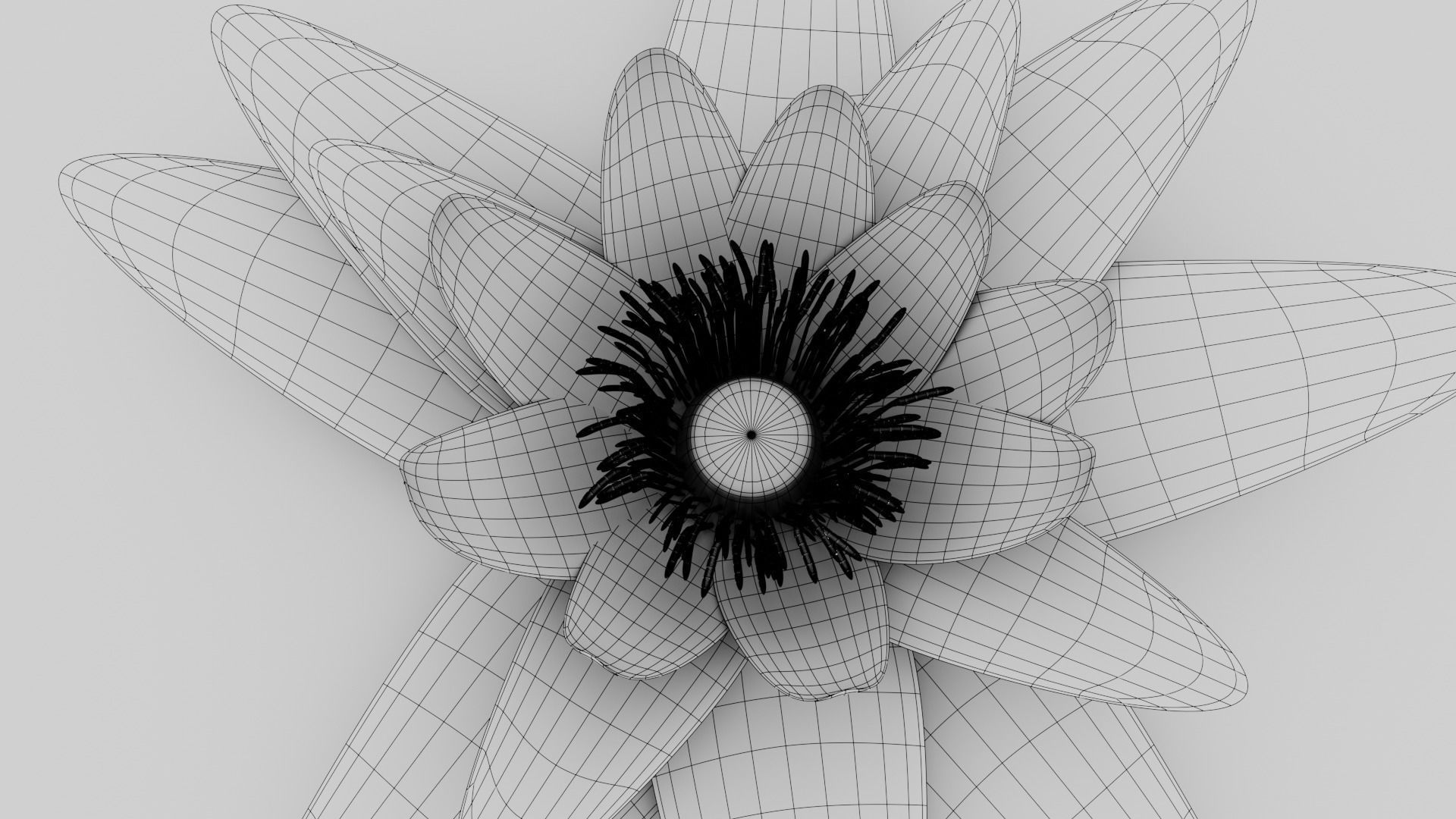 Waterlily with Leaf 3D model_15