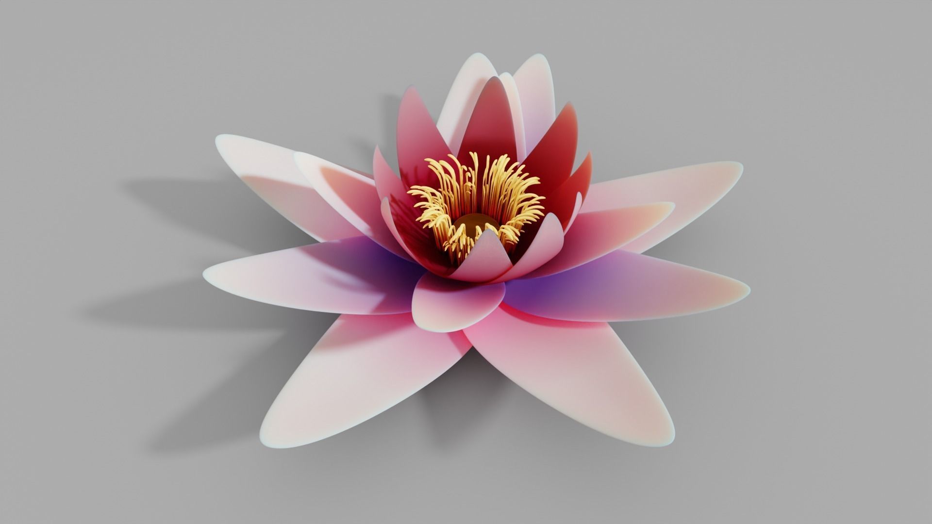 Waterlily with Leaf 3D model_10